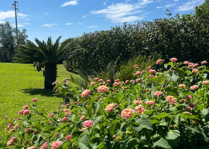 Minerva Family Relais B&B