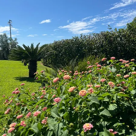 Minerva Family Relais Bed & Breakfast